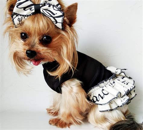 Jul 17, 2019 &0183; We'd love to hear about you and about your dream puppy. . Teacup puppy clothes